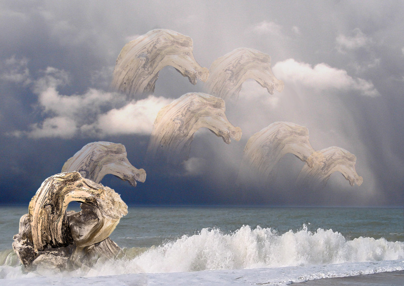 FD3 Driftwood Horses (15x10) - Fun with Driftwood