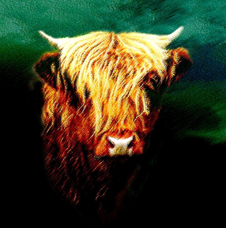 A5 'Hairy Beastie' I  (6x6) - Horses, other animals, and birds