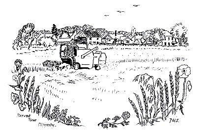 Clippesby - Harvest time on the marshes - Drawings and Sketches