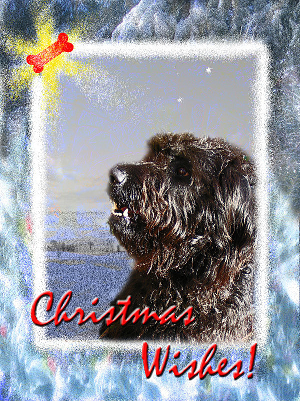 X26 'Christmas Wishes' - Examples of Papillonpourri Christmas Cards