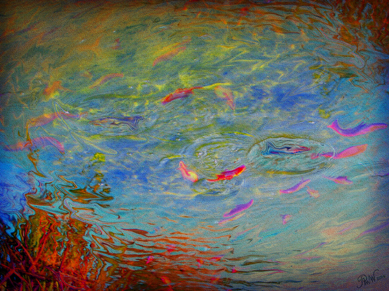 113  Goldfish Pool - Imaginative, Meditative or Mystical