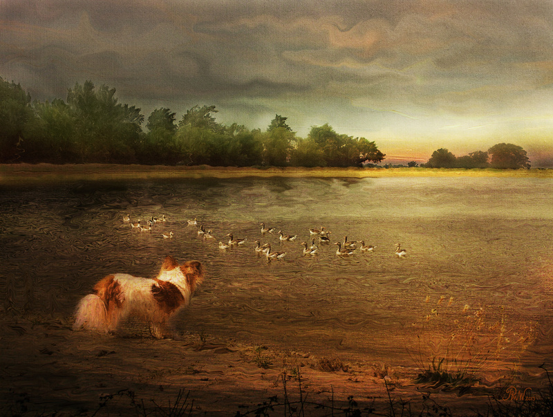 NB16  If only! - Moods and Magic of the Norfolk Broads