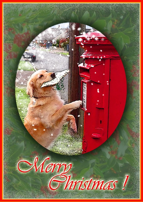 X49 Christmas Post - Examples of Papillonpourri Christmas Cards