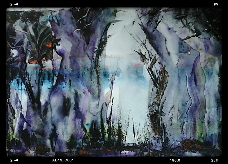 SM24   Old Beech Trees - Senior Moments - freehand watercolours