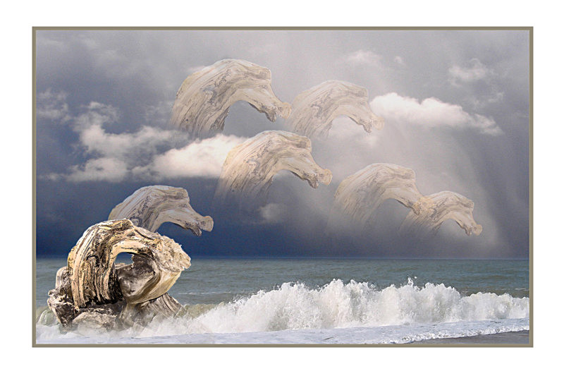 Driftwood Dream - General Greetings Cards