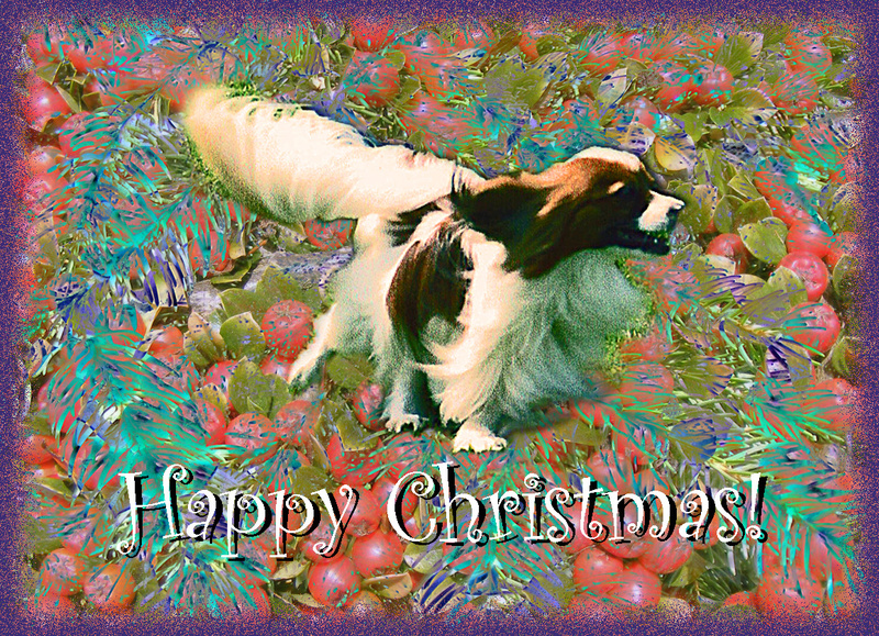 X10  'Hurry!' - Examples of Papillonpourri Christmas Cards