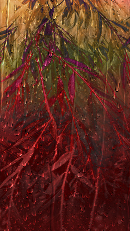 M70 Holy Innocents Day - Imaginative, Meditative or Mystical