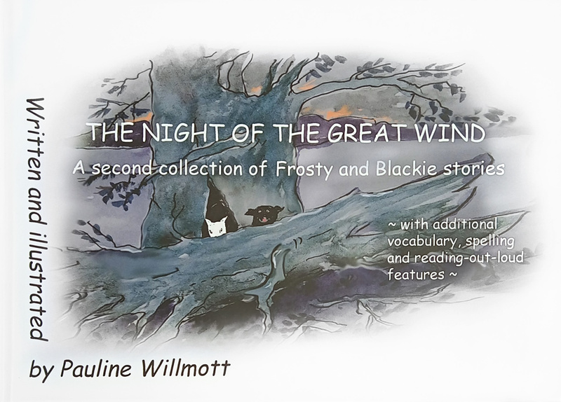 The Night of the Great Wind - Children's Books