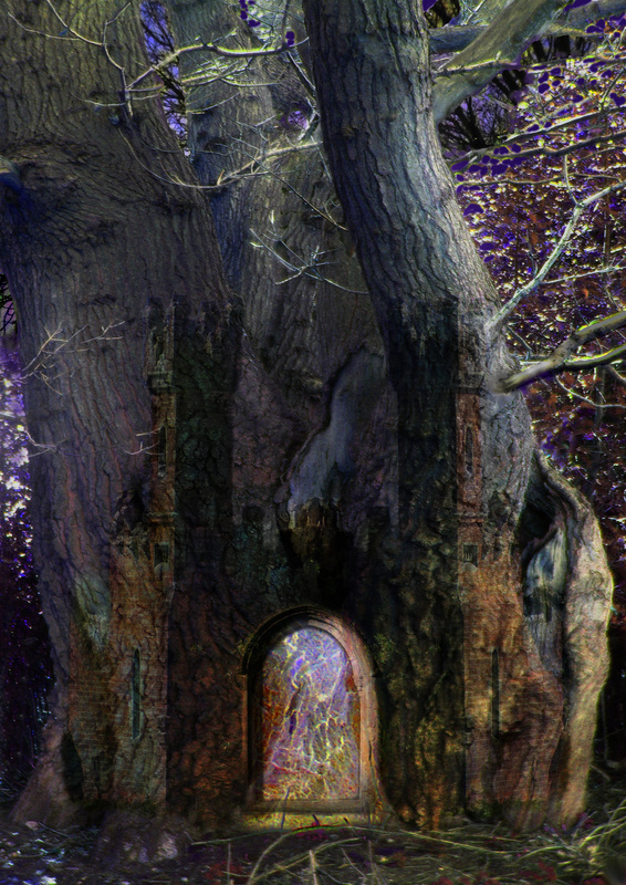 F7 Tree Doorway  (A4) - Imaginative, Meditative or Mystical