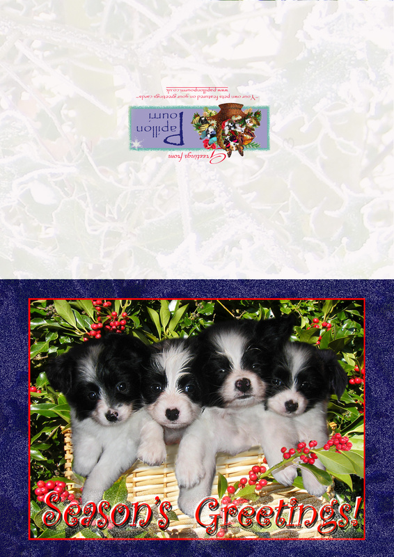 X35  A Bundle of Trouble - Examples of Papillonpourri Christmas Cards