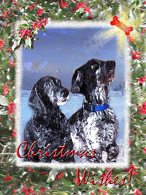 X29  'Our Christmas Wish' - Examples of Papillonpourri Christmas Cards