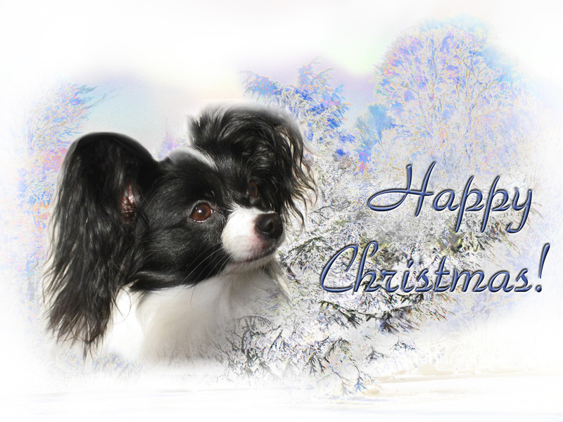 X21  Little Maggie - Examples of Papillonpourri Christmas Cards