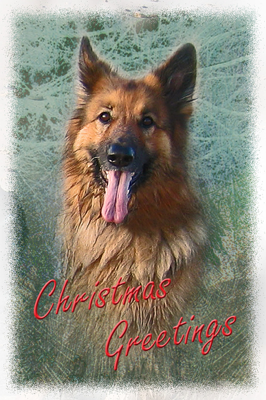 X13  Soft green - Examples of Papillonpourri Christmas Cards