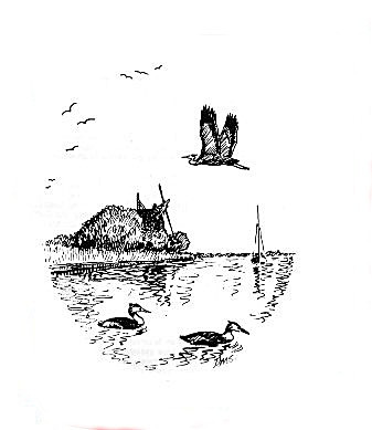 River scene - grebes  and heron - Drawings and Sketches