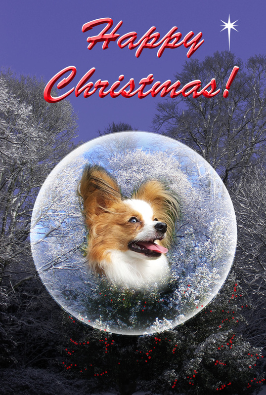 X43a   Papillon sphere - Examples of Papillonpourri Christmas Cards