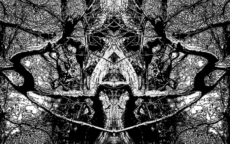 F30 Scary Tree (II)  8 x 5 - Imaginative, Meditative or Mystical