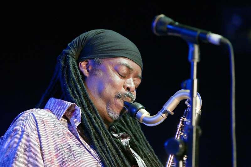 IMG_5356 - Courtney Pine 2012