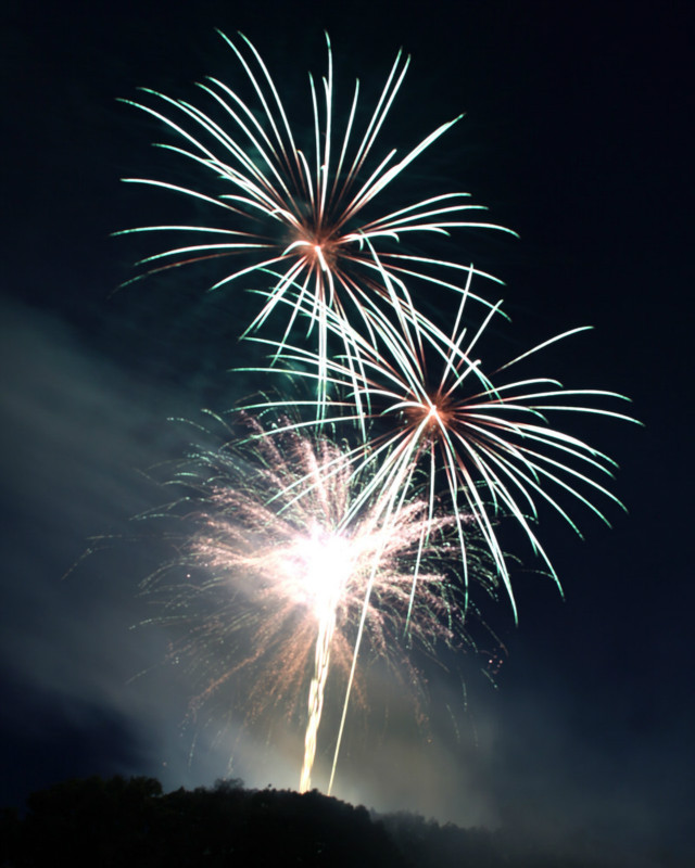 PIMG_8278 - Holt Jubilee 2012