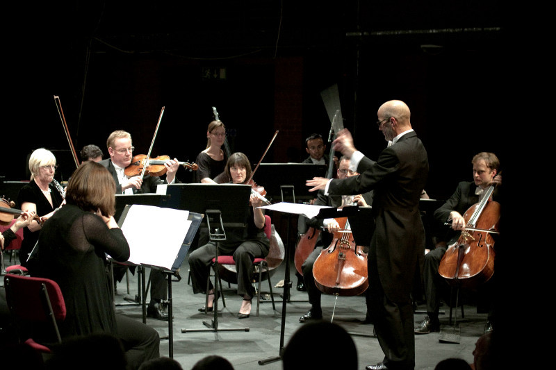 IMG_7689M - Orchestra of the Swan 2011