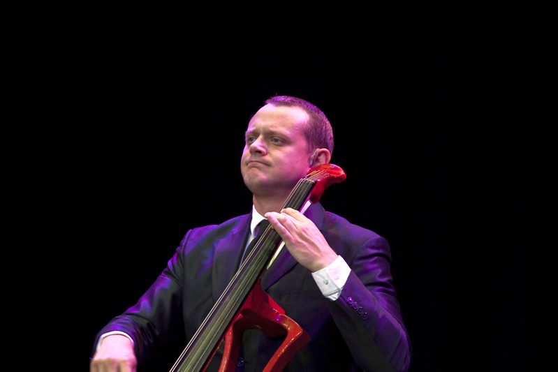 IMG_0523 - Stringfeaver 2016