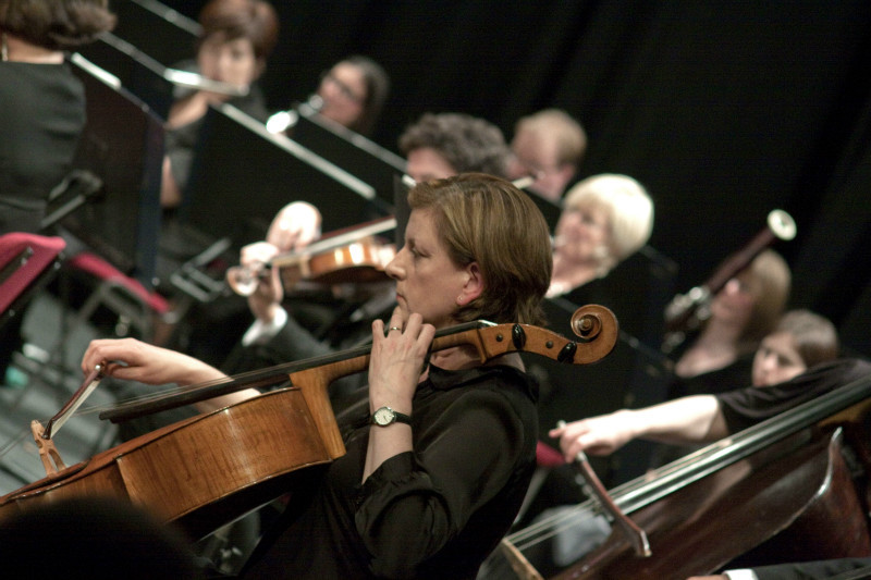 IMG_7649M - Orchestra of the Swan 2011