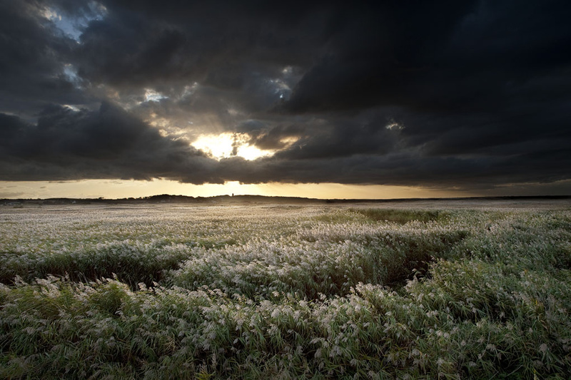 L 01 - Landscape