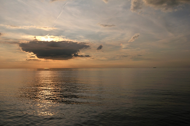 L 17 - Landscape