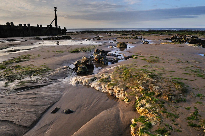 L 24 - Landscape