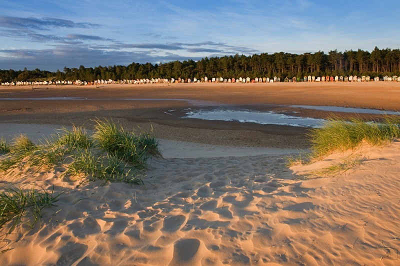 L60 - Landscape