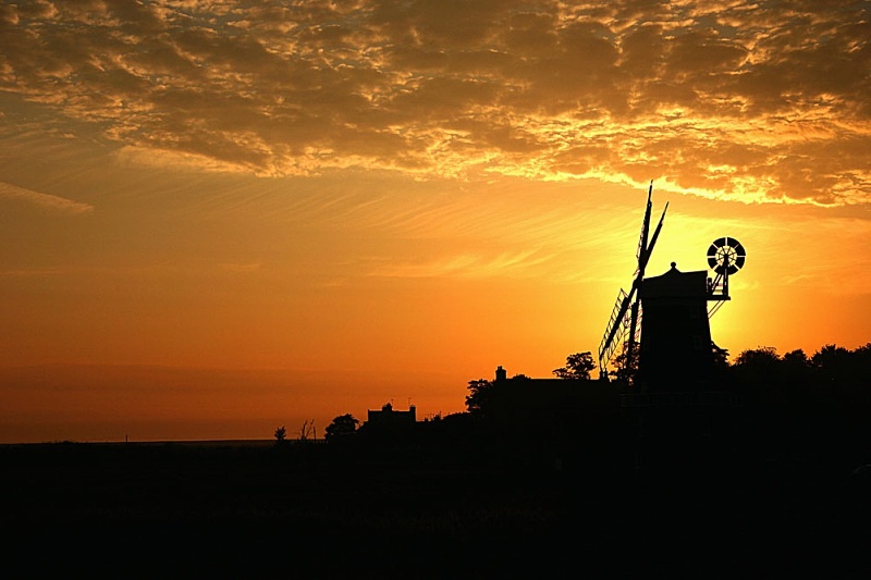L 36 - Landscape