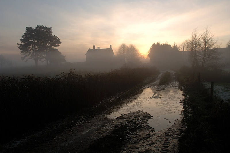 L 25 - Landscape