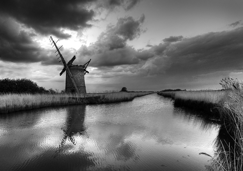 L 11 - Landscape