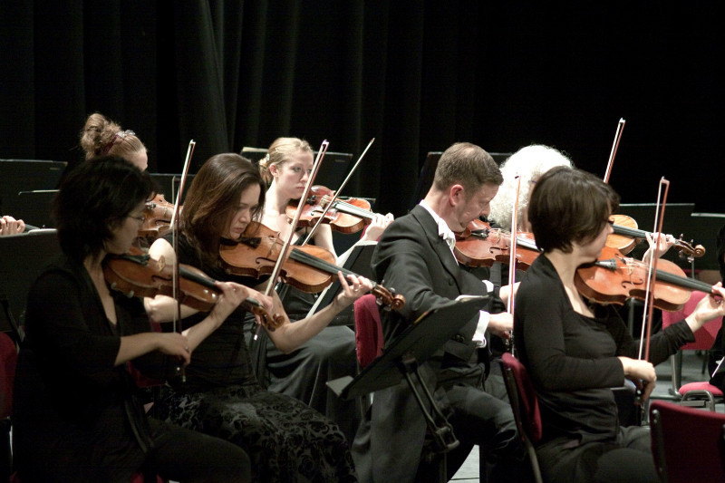 IMG_7687M - Orchestra of the Swan 2011