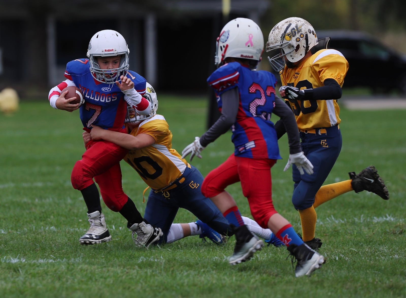  - Junior Bulldogs