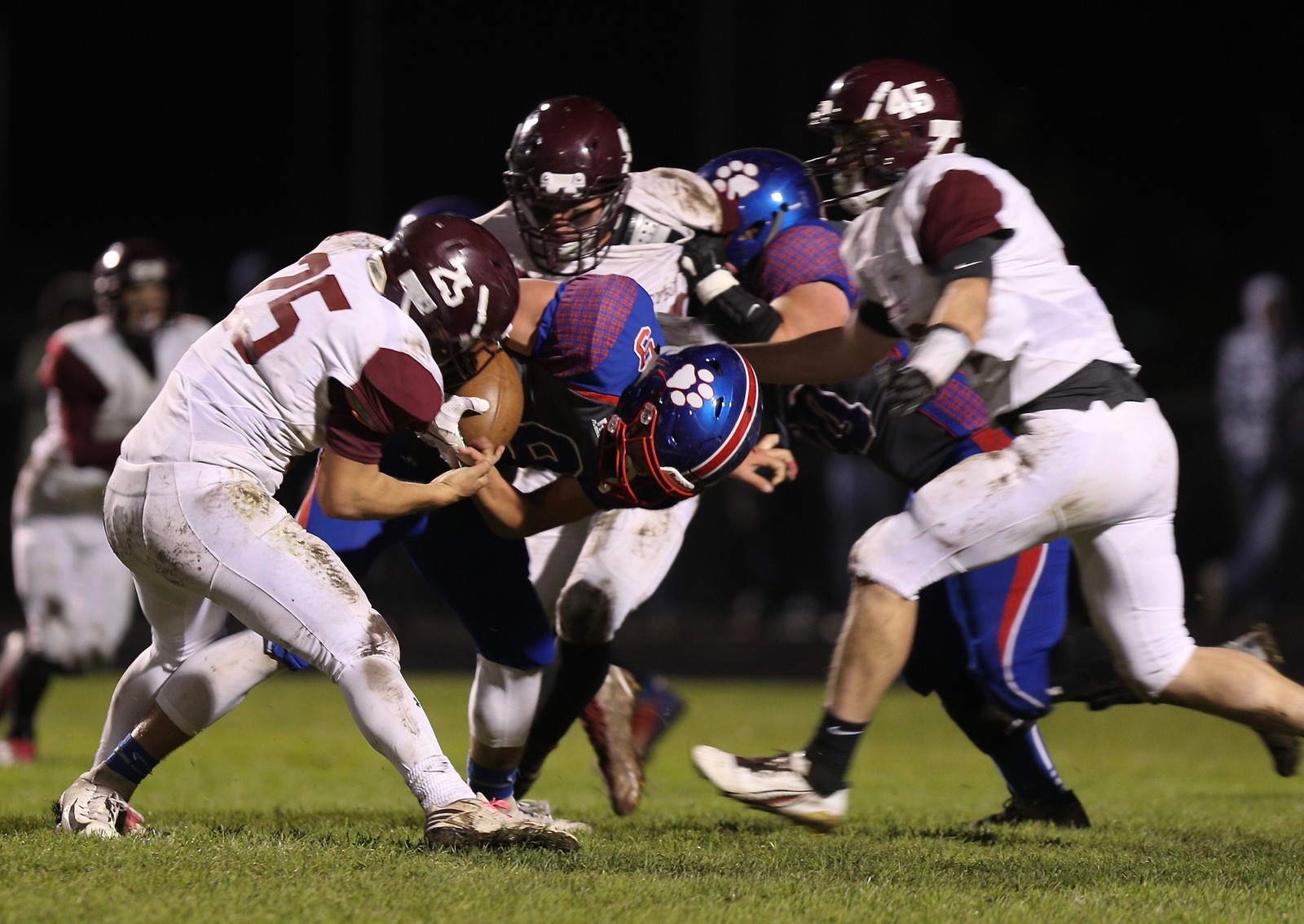  - Eaton Rapids 2018