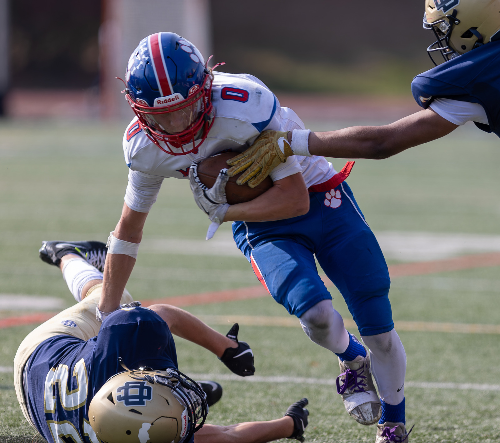  - Detroit Country Day 25