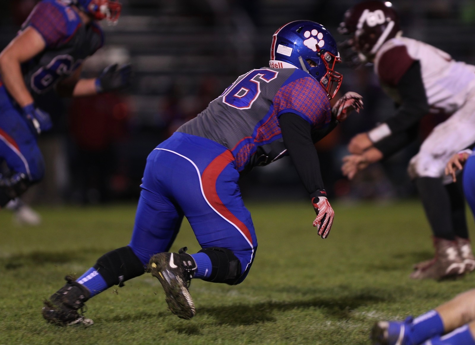  - Eaton Rapids 2018