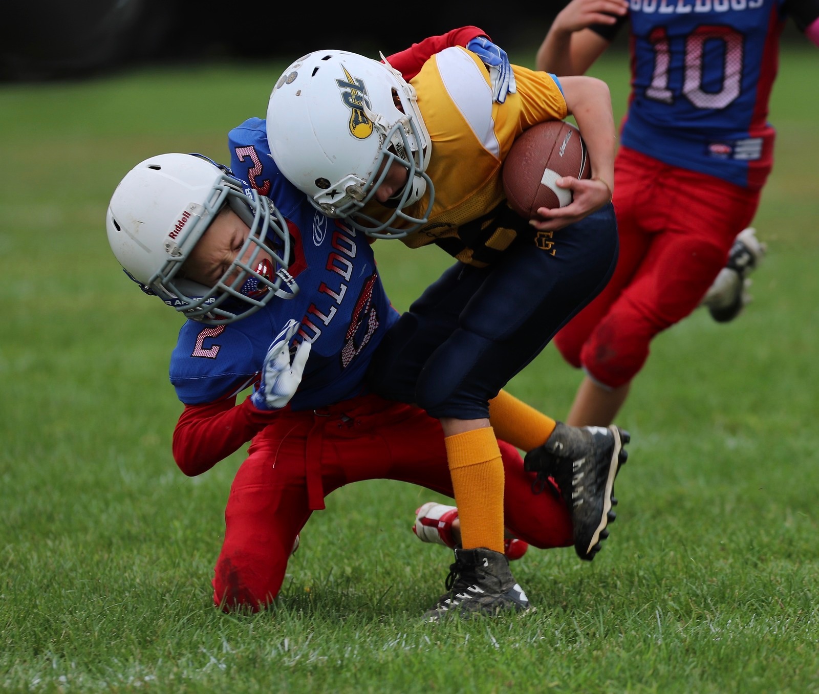  - Junior Bulldogs