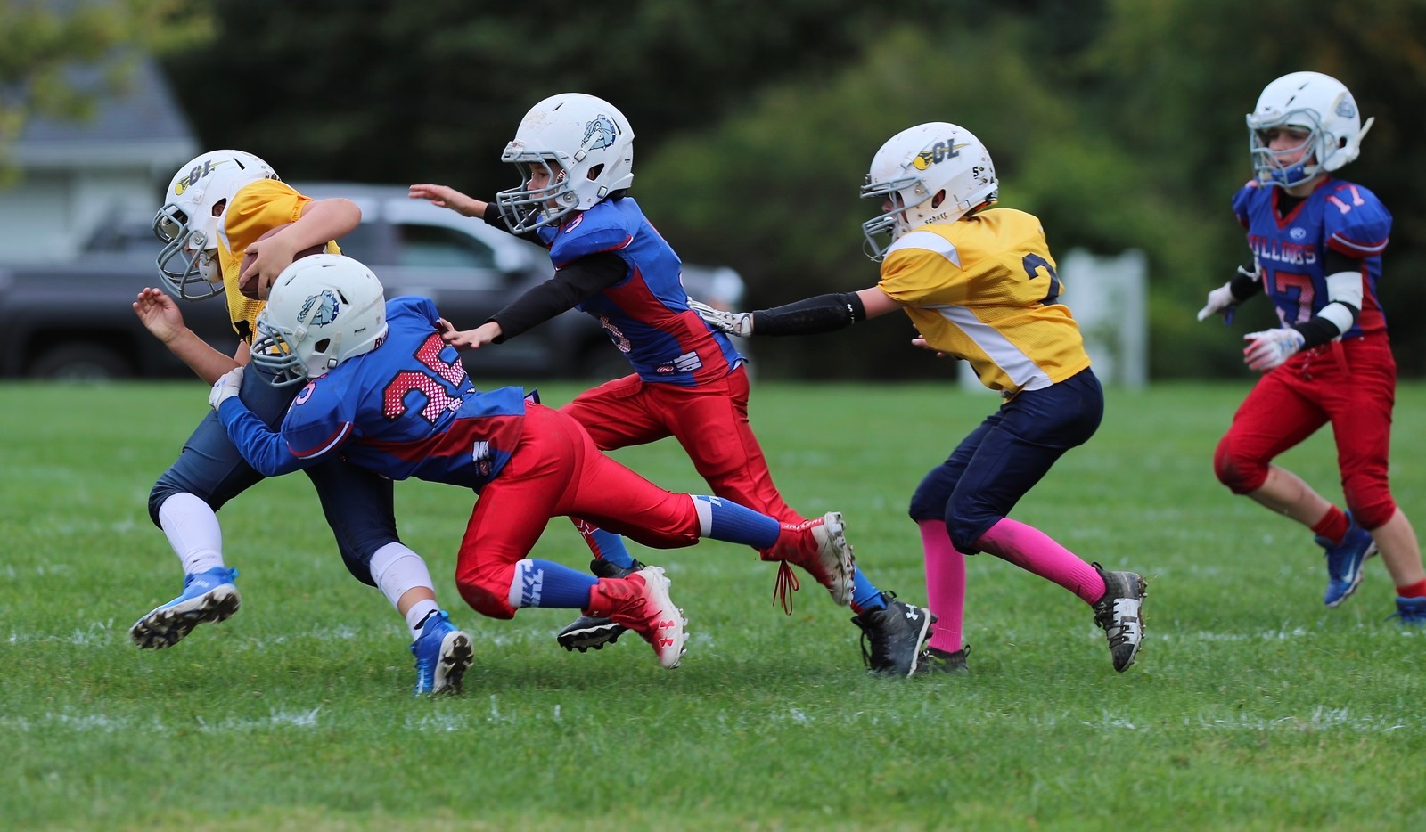  - Junior Bulldogs