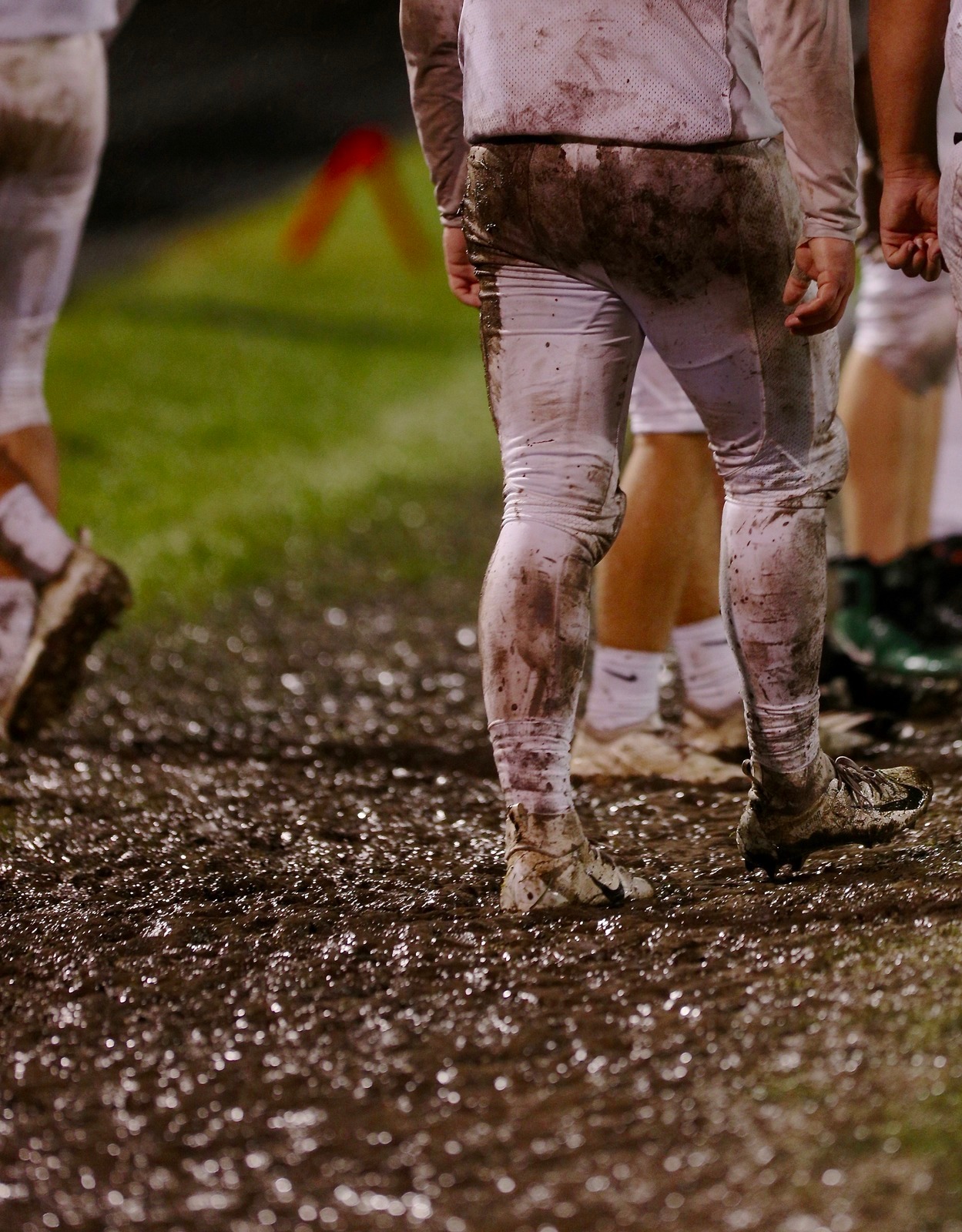  - Williamston 2019