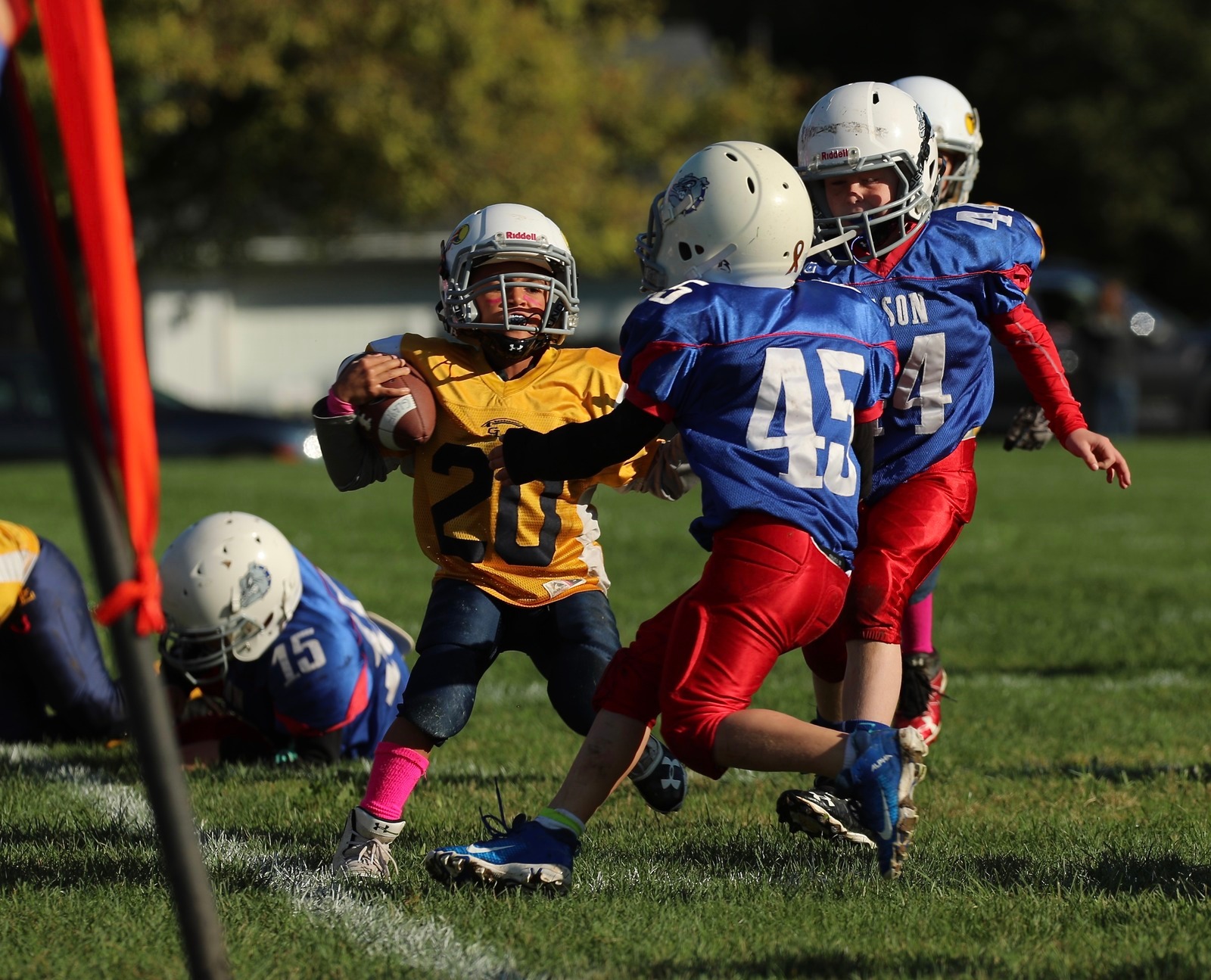  - Junior Bulldogs