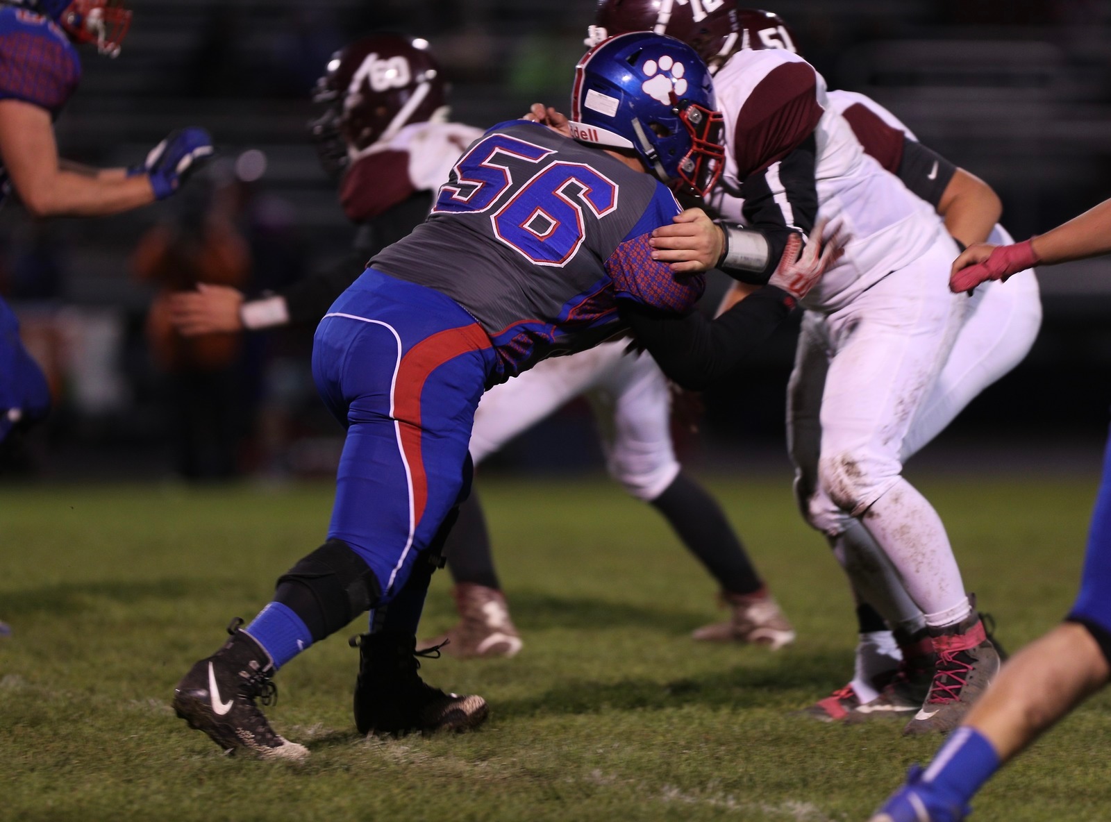  - Eaton Rapids 2018