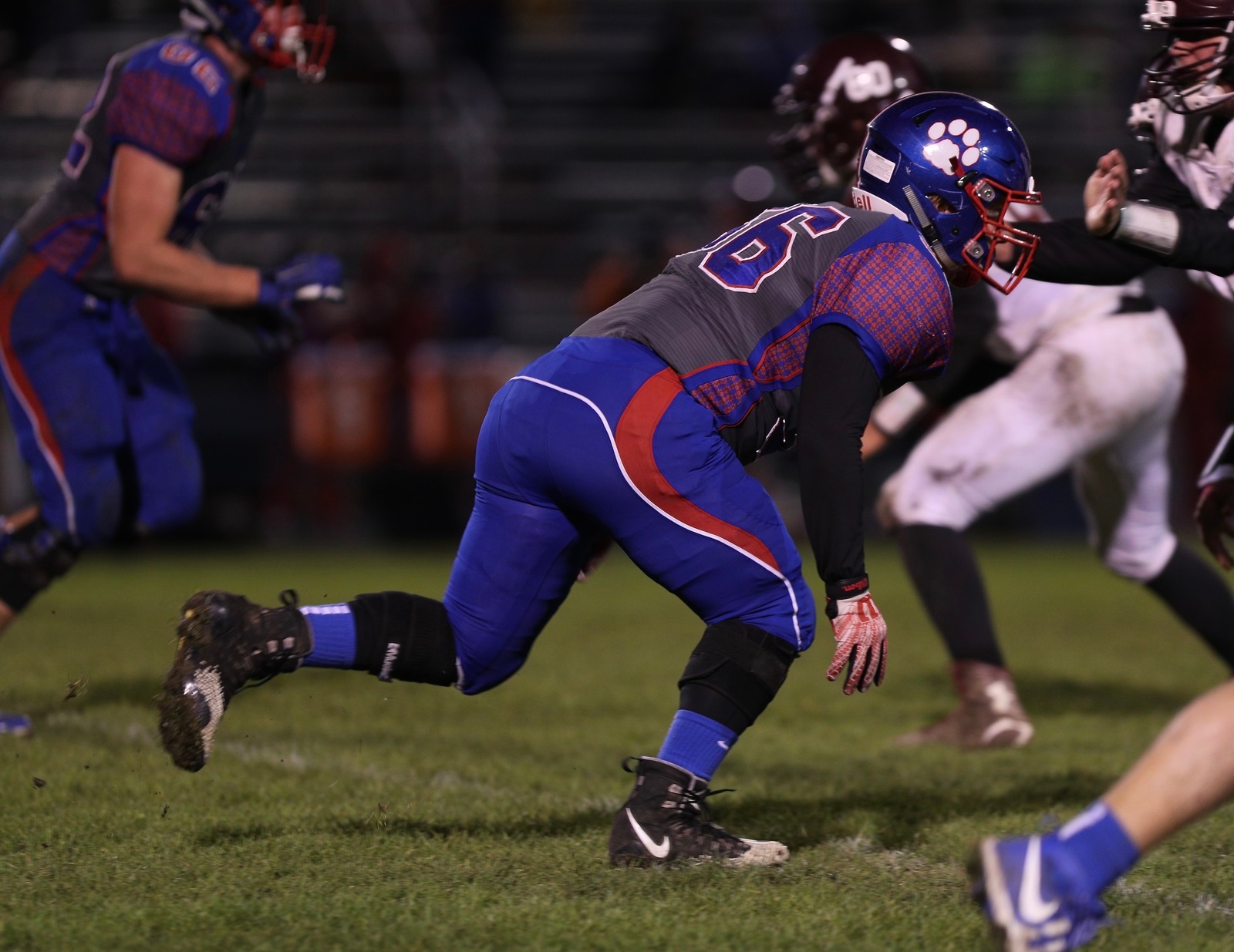  - Eaton Rapids 2018