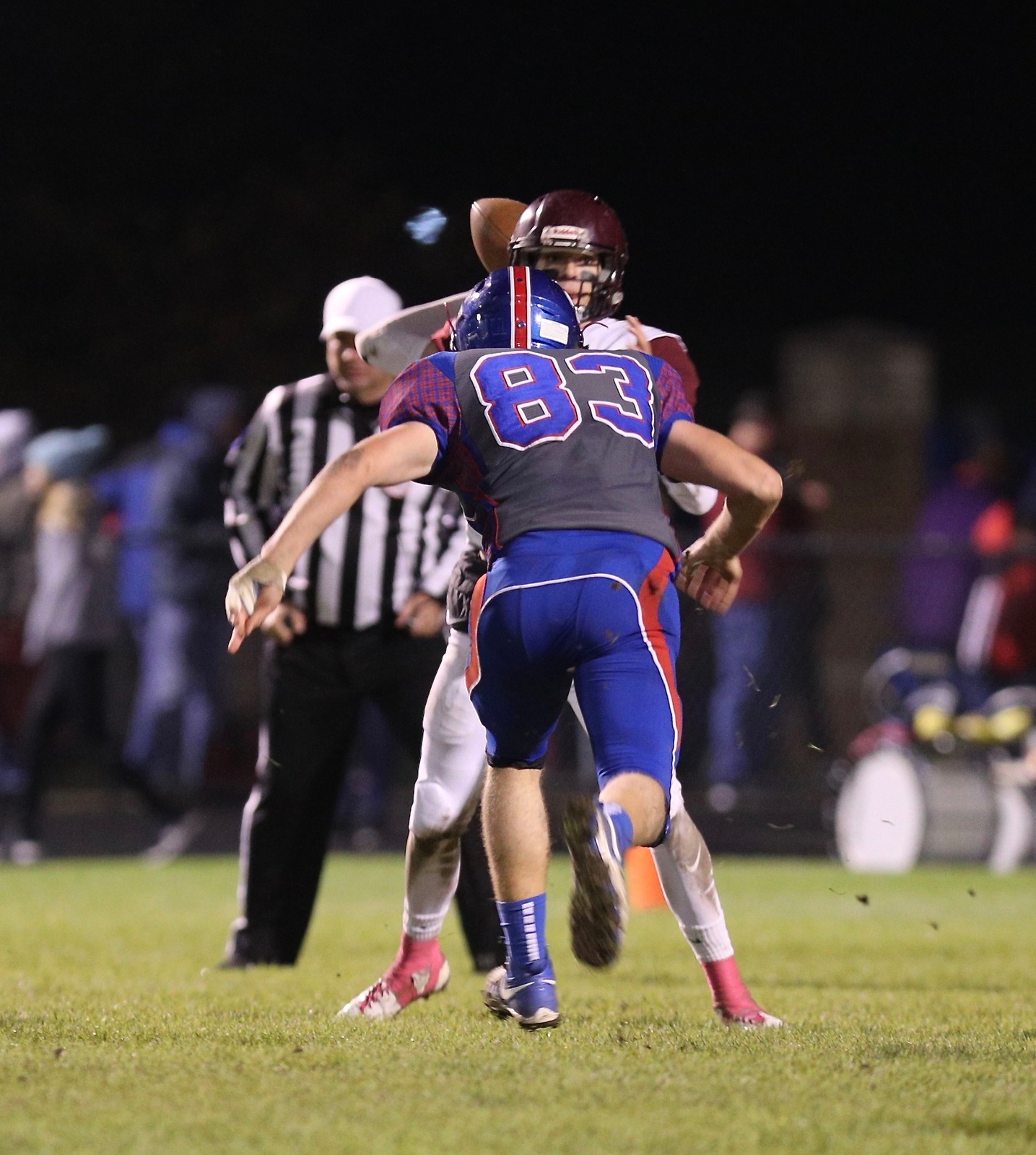  - Eaton Rapids 2018
