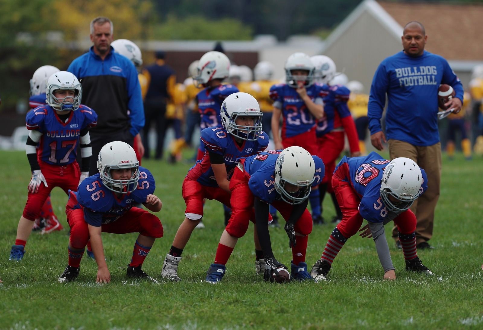  - Junior Bulldogs