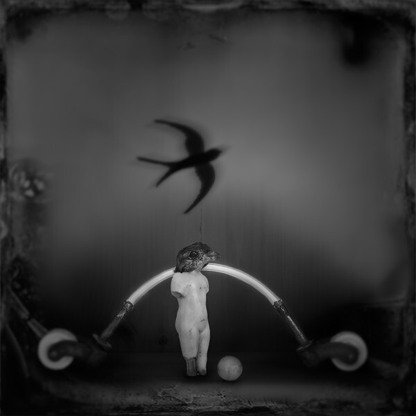  - CIRQUE du PSYCHE I