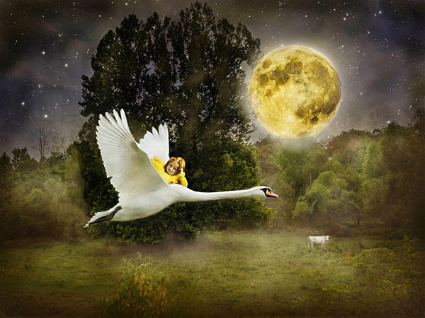  - THROUGH THE GARDEN OF CHILDHOOD