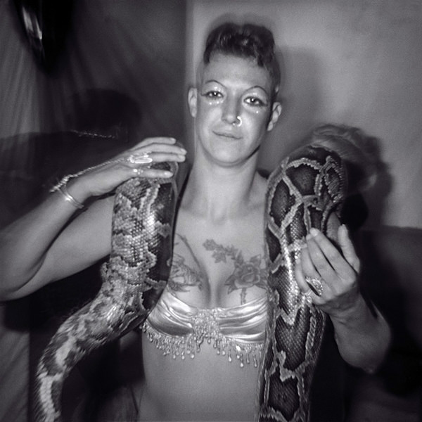  - SERPENTINA