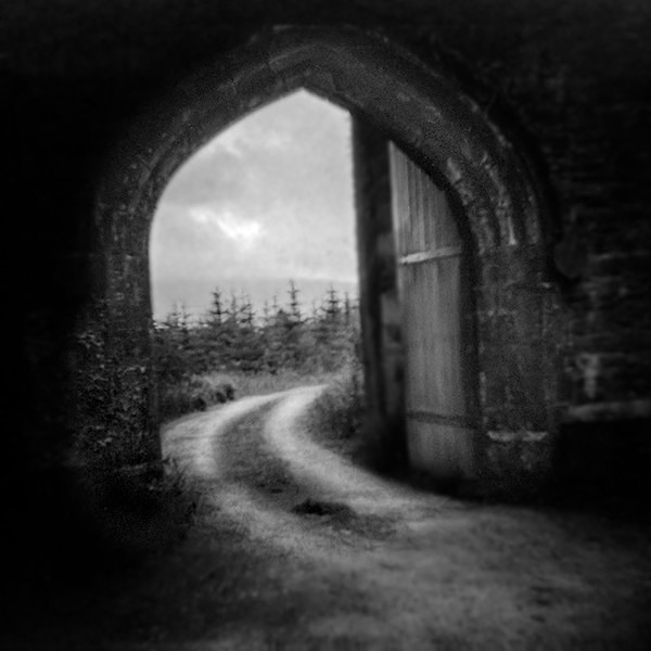 Into the Woods - SEEING THROUGH THE HEART