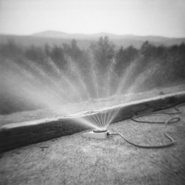  - VIGNETTES